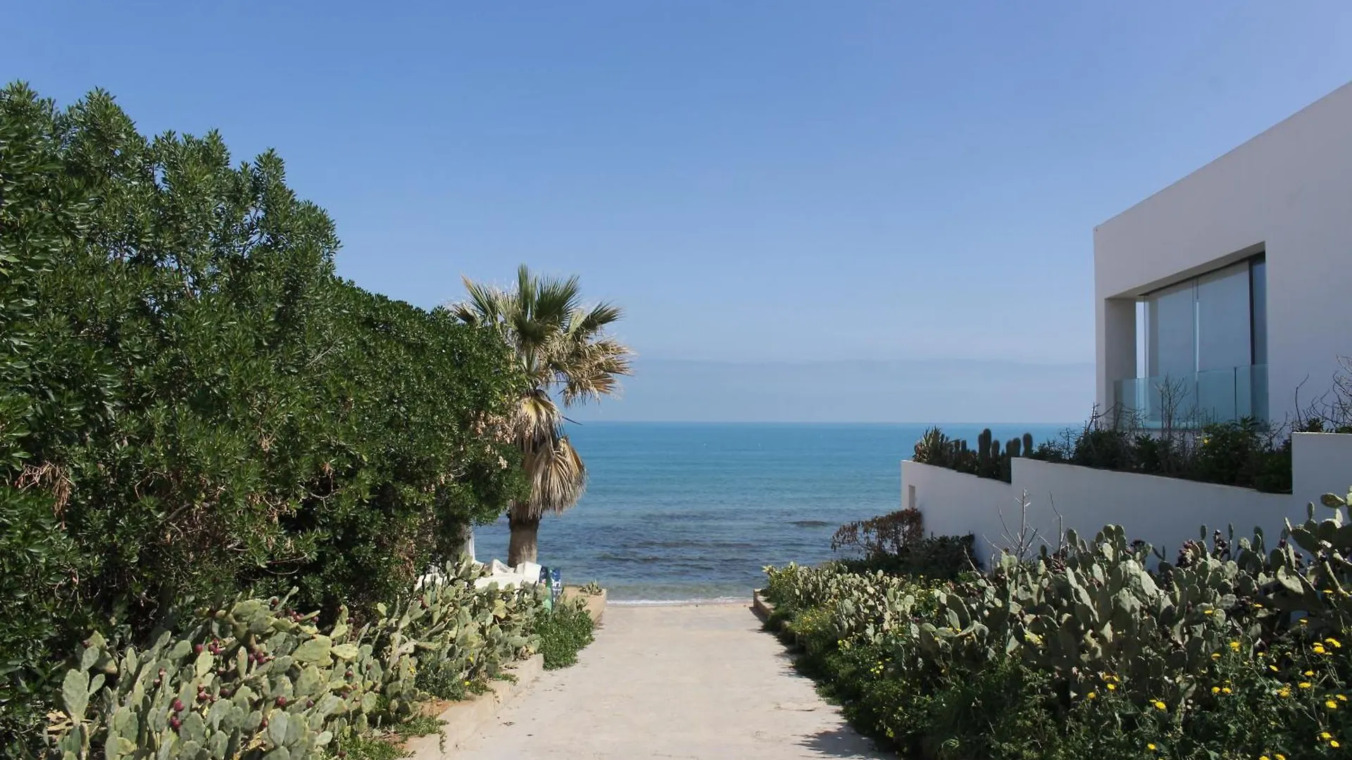 Elegant Appartement A La Marsa Avec Vue Sur Mer Et Une Grande Terrasse Privee Tunis Tunesien